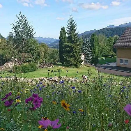 Les Balcons De Apartament Fellering